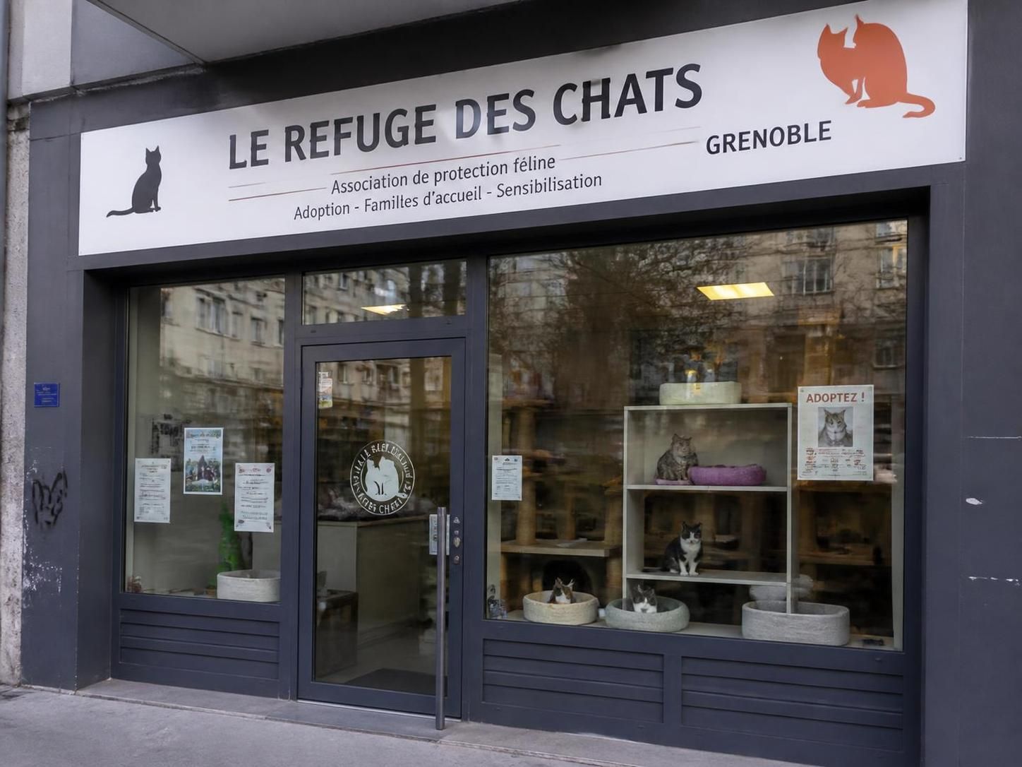 découvrez nos conseils pratiques et les meilleures adresses pour adopter un chat à grenoble en toute sérénité. trouvez votre compagnon idéal grâce à nos recommandations.