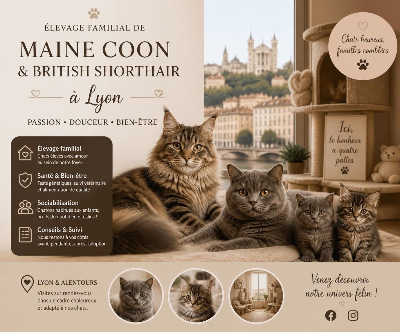 découvrez tout ce qu'il faut savoir pour bien débuter un élevage de chat à lyon : conseils, astuces et informations essentielles pour réussir votre projet.
